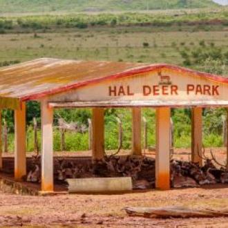 Deer Park HAL