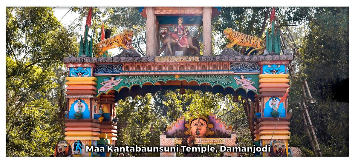 Maa Kantabaunsuni Temple, Damanjodi