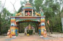 Damanjodi Kantabusini